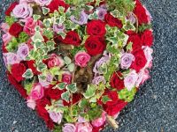 lierre bois rose 800x533
