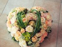 rose th 800x561