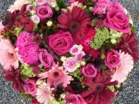 rouge et rose 360x640