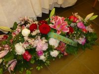 P1030392 800x600